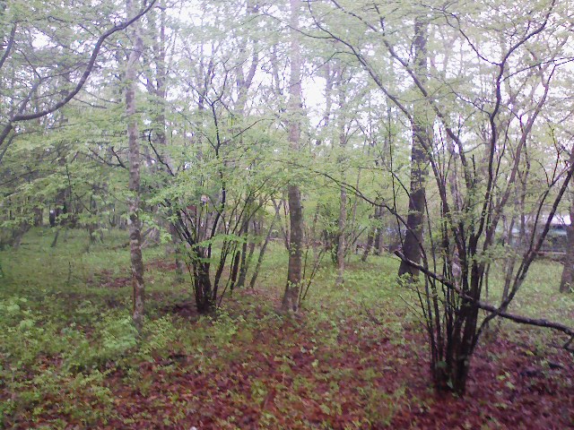 080511-075220.jpg