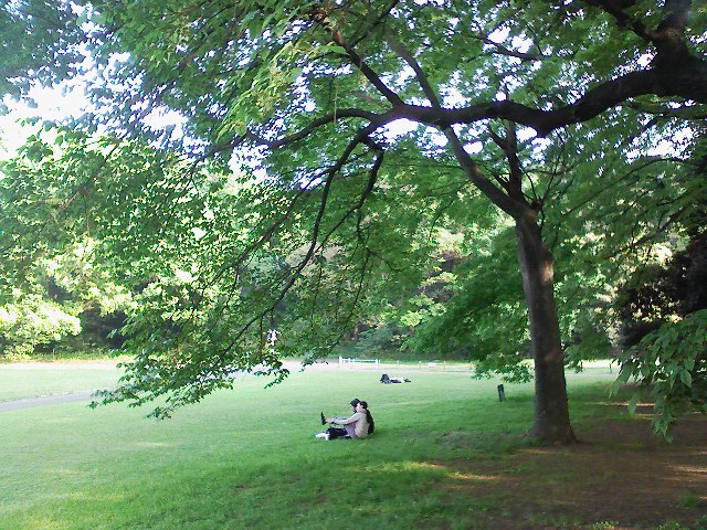 img029.jpg