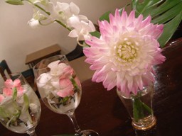 2DSCF0382.JPG