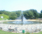 F1000060.jpg