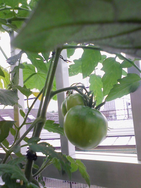 080605-122401.jpg