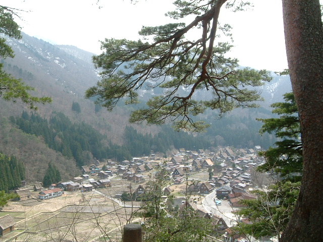 DSCF0172.JPG