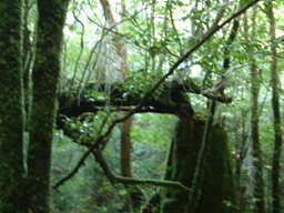 2DSCF0062.JPG