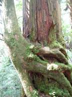 2DSCF0090.JPG