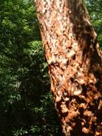 2DSCF0092.JPG
