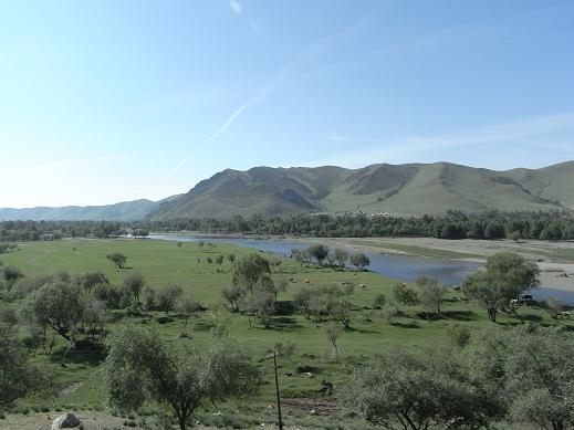 RIMG0774.JPG