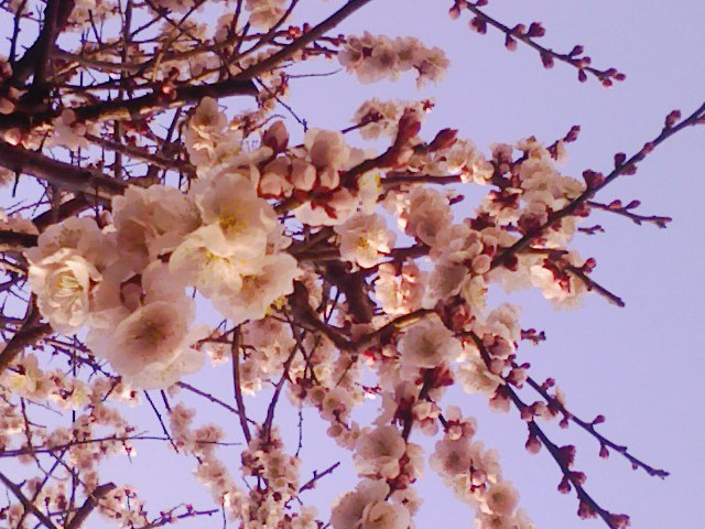 080311-161047.jpg