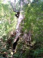 2DSCF0097.JPG