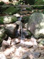 2DSCF0091.JPG