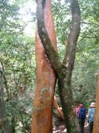 2DSCF0105.JPG