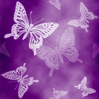 蝶背景…紫（雲模様）
