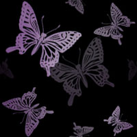蝶（１）…黒／白紫（まだら）
