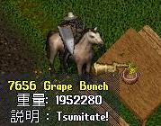 051125_ぶどうの束