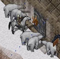 051222_白熊たちと張り込み(ただし関係ない家w)