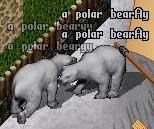 051221_かわいそうな白熊