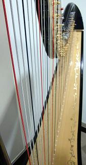 harp music and math201006.JPG