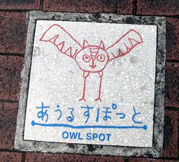 owl spot201007.JPG
