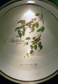 Audubon.JPG