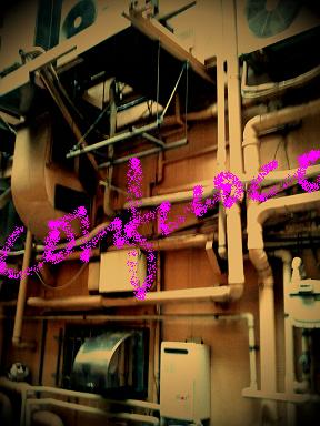 toycamera syowa201105.JPG