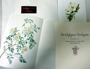 charles rose201002.JPG