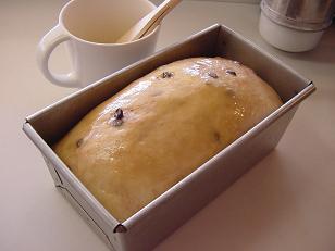 チョコッチップパン発酵終了