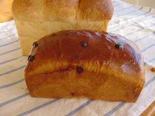 チョコチップパン