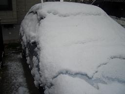 雪で覆われるぅ～