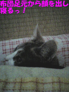 neru3