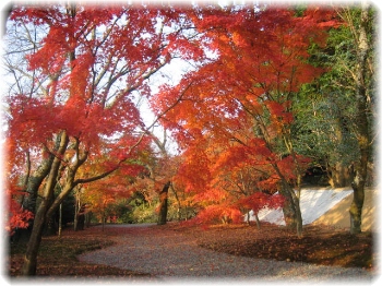 弘川寺２