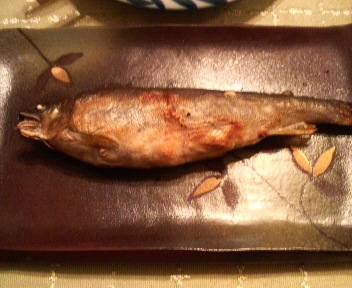 画像 378.jpg