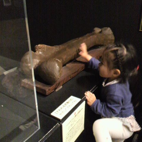 2011053115280001.JPG