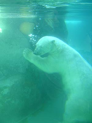 朝日山動物園