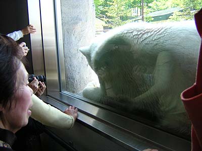 朝日山動物園