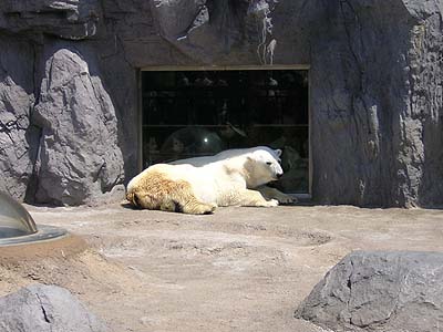 朝日山動物園