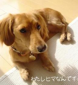 たいくつ･･