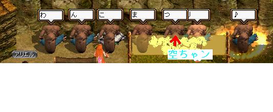 わんこまつり♪