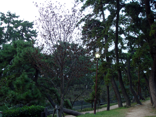 夙川公園２