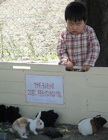 移動動物園２