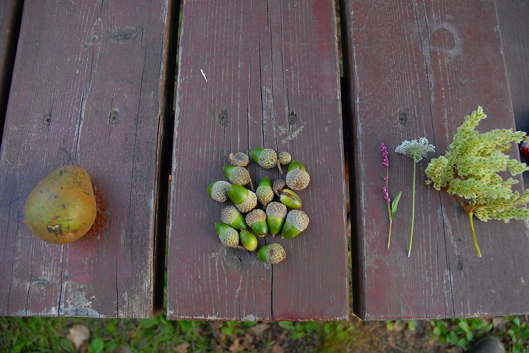 まんぷくの一日
