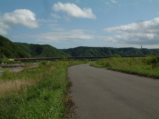 新平取大橋