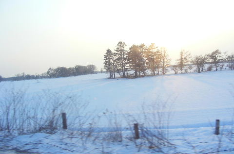 雪の原