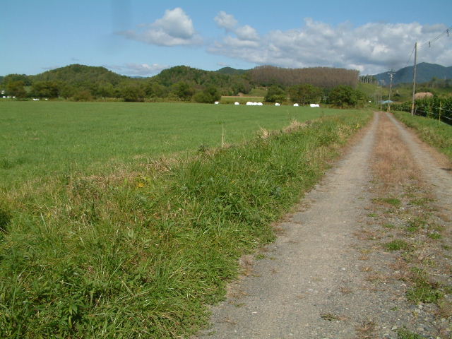 田舎道。