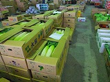 2009_1010ネギ作業部屋0016.jpg