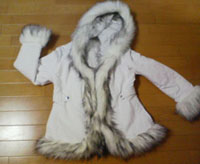 200701152155000.jpg