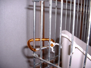 トイレにナスカン