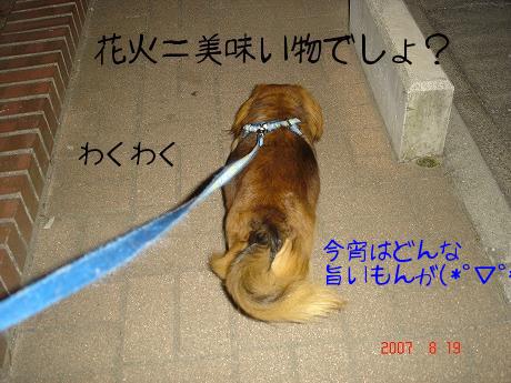 DSC04899.jpg