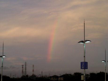 CIMG0676.jpg