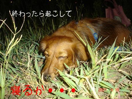 DSC04892.jpg