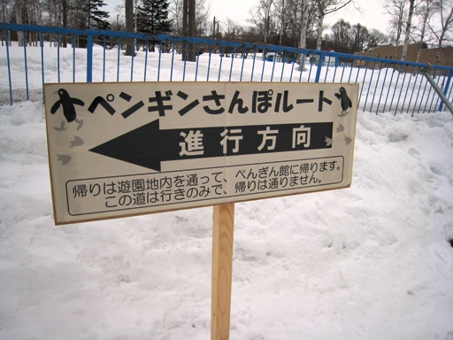 ペンギンさんぽルート