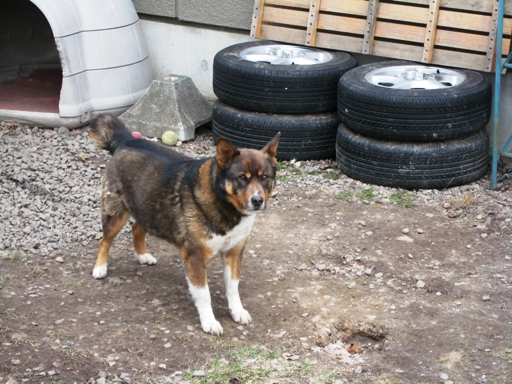 ライト　その２